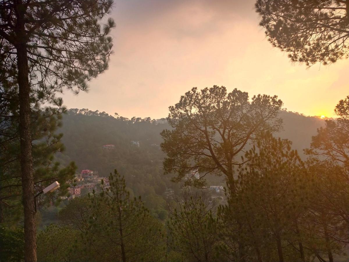 Pine Villa Касаулі Екстер'єр фото