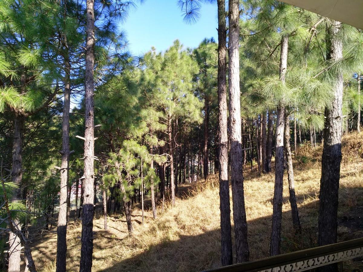 Pine Villa Касаулі Екстер'єр фото